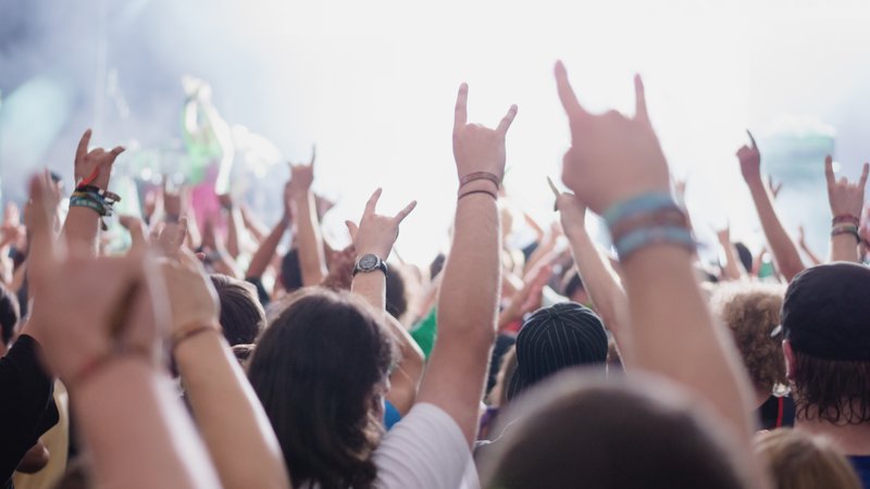music fans cheering crowd
