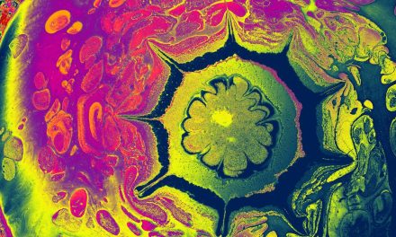 Le rock psychédélique : LSD, gourous et chefs-d’œuvre 60s