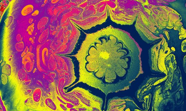 Le rock psychédélique : LSD, gourous et chefs-d’œuvre 60s