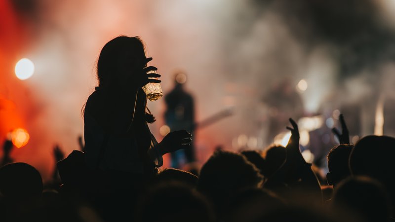 emo rock concert crowd