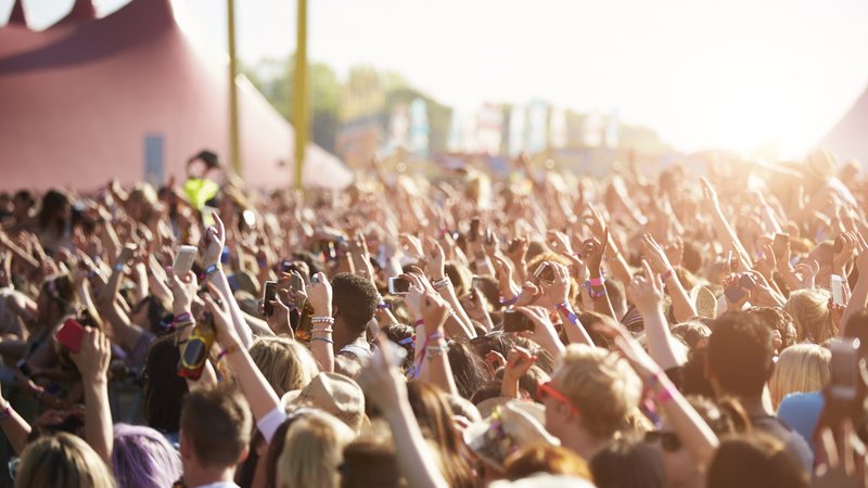 crowd at music festival