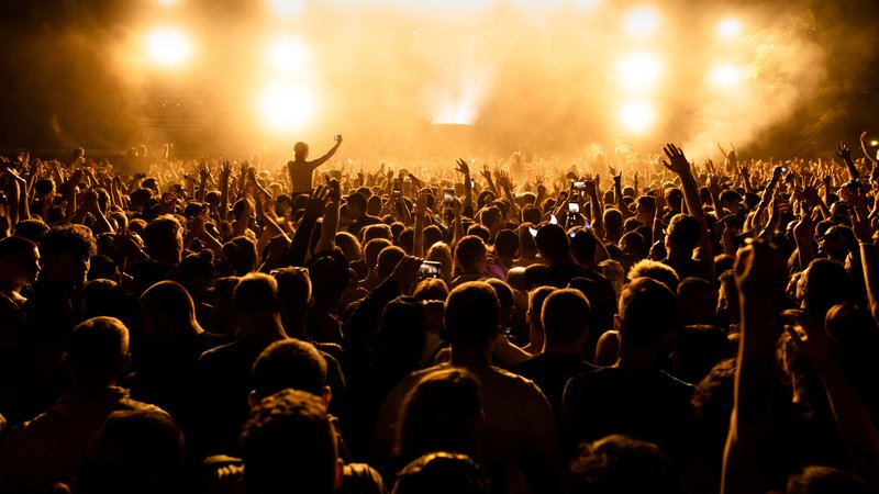 grunge music fans crowd
