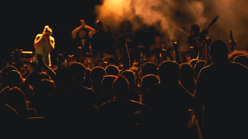 punk rock concert crowd