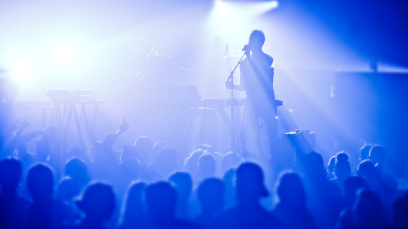 concert crowd with singer