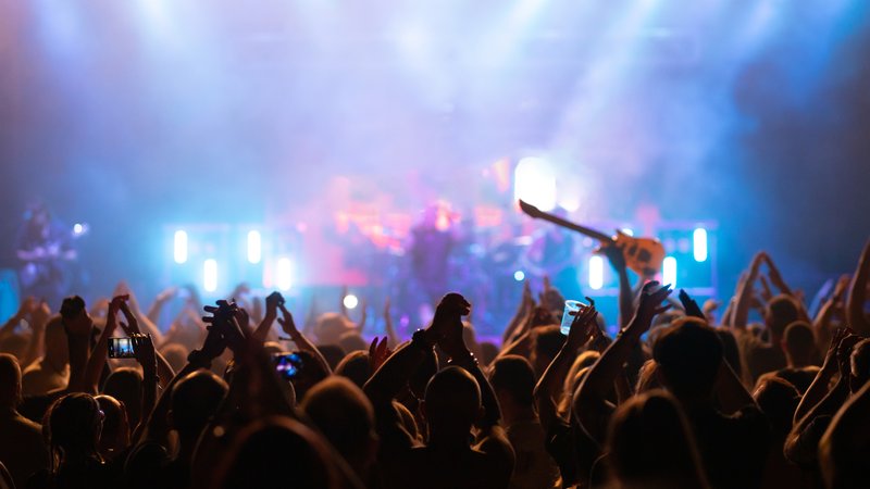 alternative rock concert crowd