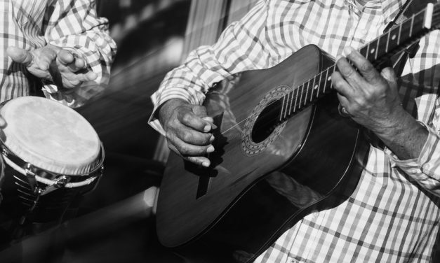 Delta blues : aux racines du Mississippi blues acoustique