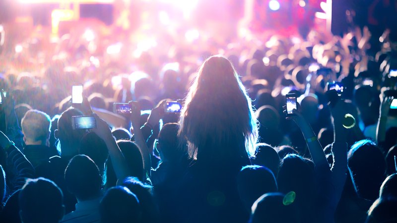 French pop concert crowd