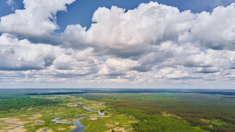 mississippi delta rural landscape