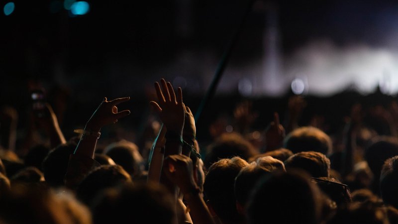 festival audience at night