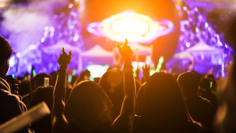 goa trance music festival crowd