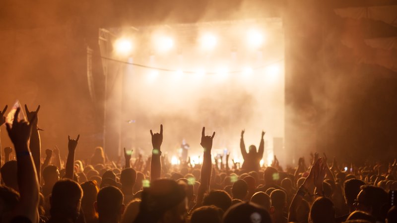 punk rock concert crowd
