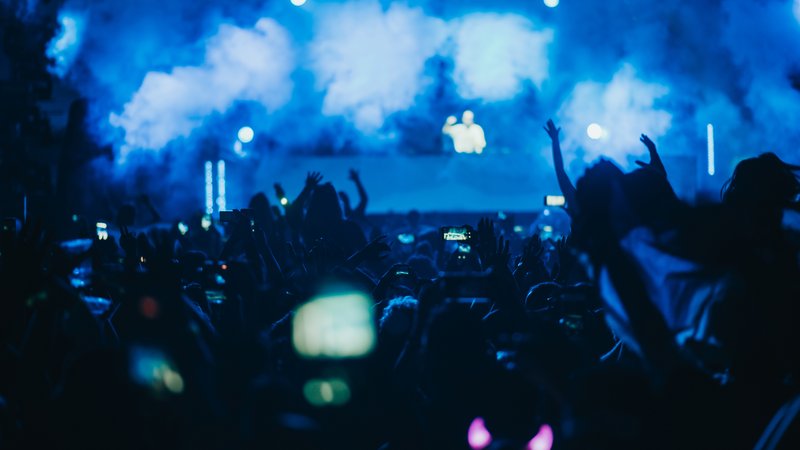 electronic music concert crowd
